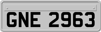 GNE2963
