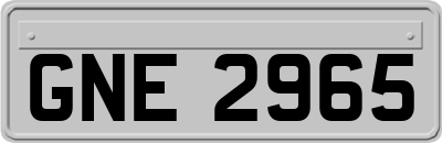 GNE2965