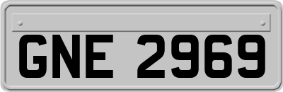 GNE2969
