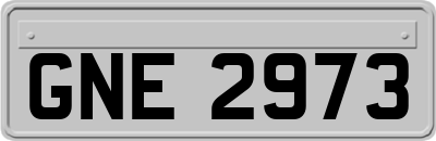 GNE2973