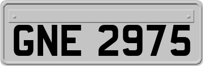 GNE2975