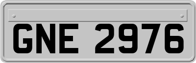 GNE2976