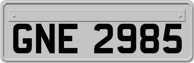 GNE2985