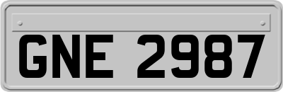 GNE2987