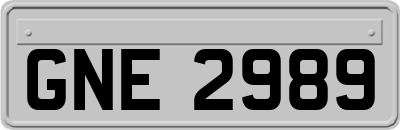 GNE2989