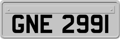 GNE2991