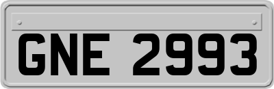 GNE2993