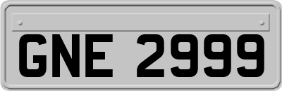 GNE2999
