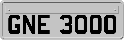 GNE3000