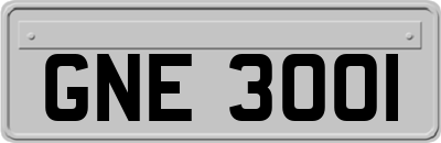 GNE3001