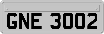 GNE3002