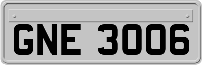 GNE3006