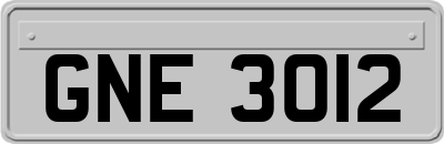 GNE3012
