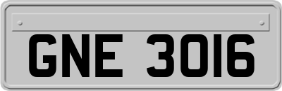 GNE3016