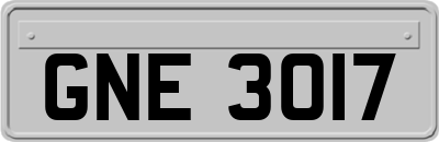 GNE3017
