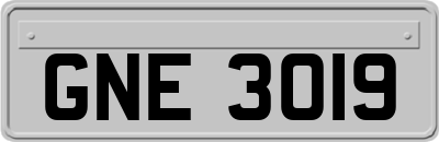 GNE3019