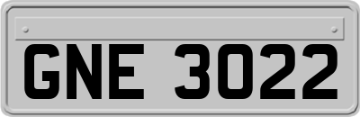 GNE3022