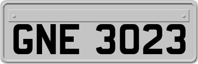 GNE3023