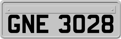 GNE3028
