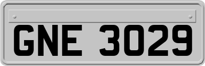 GNE3029