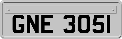 GNE3051