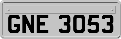GNE3053