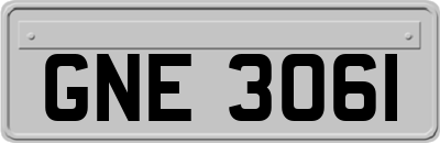 GNE3061