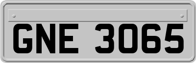GNE3065