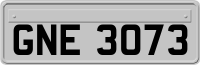 GNE3073