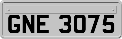 GNE3075