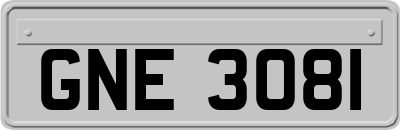 GNE3081