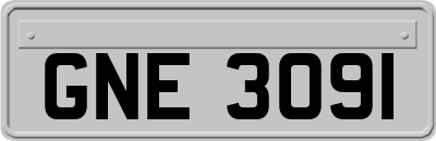 GNE3091