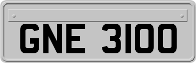 GNE3100
