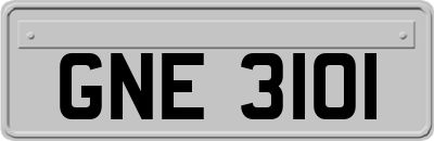 GNE3101