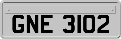 GNE3102