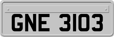GNE3103