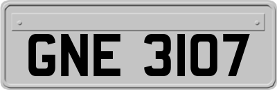 GNE3107