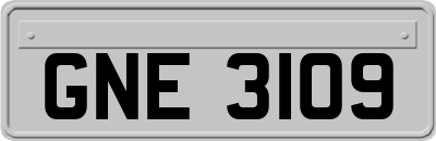 GNE3109