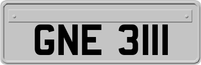 GNE3111