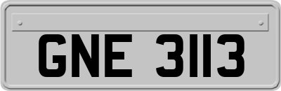 GNE3113