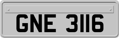 GNE3116