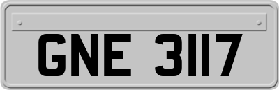 GNE3117