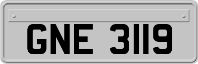 GNE3119