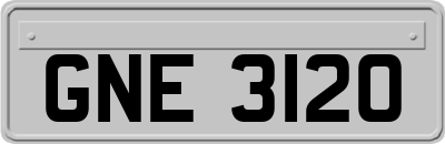 GNE3120