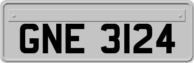 GNE3124
