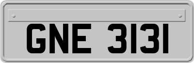 GNE3131