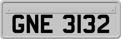 GNE3132