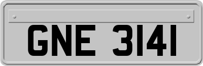 GNE3141