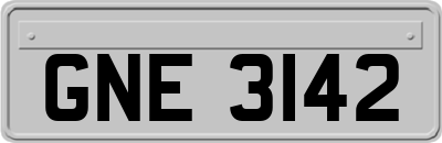 GNE3142