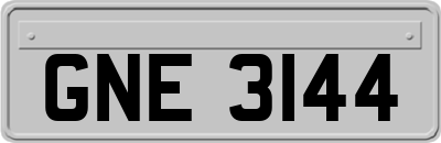 GNE3144
